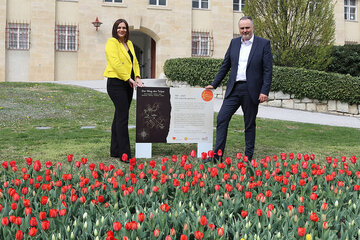 Landeshauptmann Hans Peter Doskozil und Landeshauptmann-Stellvertreterin Astrid Eisenkopf: Anlässlich 100 Jahre Burgenland erblüht in allen Bezirken des Landes - so auch vor dem Landhaus in Eisenstadt - ein Tulpenmeer in den burgenländischen Landesfarben Rot-Gelb