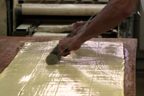 Symbolfoto Video Biowende