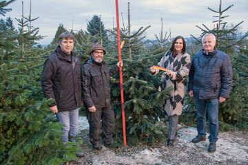 Kontrolle bei Christbaumverkauf Preisegger in Pöttsching. V.l.: Kontrollor Franz Ecker, Christbaumverkäufer Ronald Preisegger, LH-Stv.in Astrid Eisenkopf, Kontrollor Wolfgang Fuchs von der Preisbehörde.