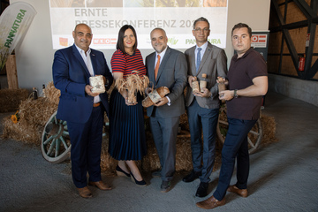 Landeshauptmann-Stellvertreterin Mag.a Astrid Eisenkopf (2.v.l.), Obmann Hannes Mosonyi (Landesgremium Agrarhandel), DI Matthias Grün, Vorsitzender d. Vorstandes Esterhazy Betriebe AG u. Geschäftsführer PANNATURA, Kommunikationsleiter Mario Winkler (Österreichische Hagelversicherung) und Martin Pinczker von Bioprodukte Pinczker (v.l.) präsentierten die Erntebilanz 2024 bei Getreide und Ölsaaten.