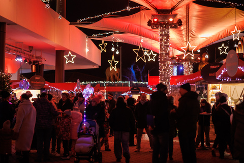 Fotoimpressionen vom Winterwunder Mörbisch.