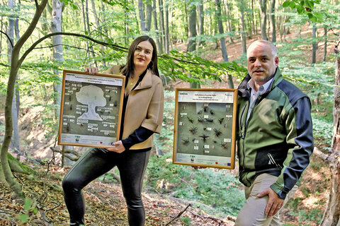 LH-Stv.in Mag.a Astrid Eisenkopf und DI Matthias Grün, GF der PANNATURA GmbH, mit Schautafeln mit den wichtigsten Bewohnern von Totholzbeständen