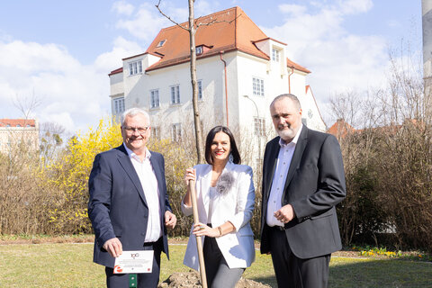Bürgermeister Thomas Steiner, Landtagspräsidentin Astrid Eisenkopf und Landeshauptmann Hans Peter Doskozil beim Pflanzen des „Eisenstädter Stadtbaums“ im Garten des Landhauses