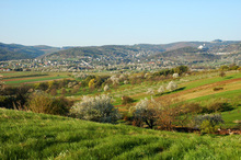 Forchtenstein Mattersburger Hügelland