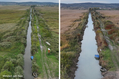LAndesrat Heinricht Dorner präsentiert Maßnahmen des Seemanagements Burgenland am Neusiedler See