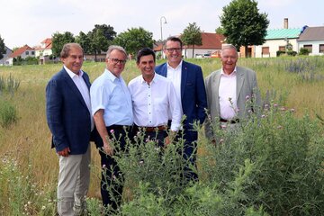 LH Niessl/LR Illedits