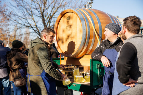 Nach zahlreichen Wein- und Kulinarikveranstaltungen laden nun offene Kellertüren und junge Weine zum Herbstfinale im ganzen Burgenland ein.
