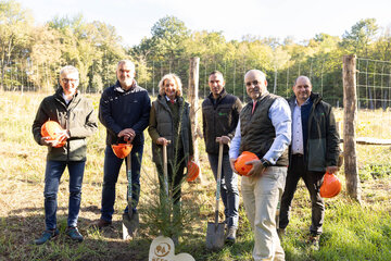 DI Dr. Peter Mayer, Leiter Bundesforschungszentrum für Wald (BFW), Landesrat Mag. Heinrich Dorner, DIin Elfriede Moser, Sektionsleiterin Forstwirtschaft und Nachhaltigkeit, Bundesministerium für Land- und Forstwirtschaft, Klima- und Umweltschutz, Regionen und Wasserwirtschaft, Ing. Mag. Matthias Granitzer, Obmann Waldverband Österreich, DI Matthias Grün, Vorsitzender des Vorstandes der Esterhazy Betriebe AG und Mag. (FH) Markus Kratzer, Geschäftsführer der PANNATURA GmbH