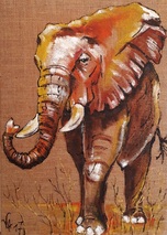 Elefant