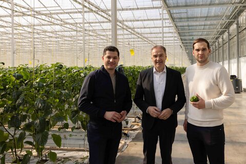 Landesrat Dr. Leonhard Schneemann wies gemeinsam mit Gesellschafter Werner Perlinger, Bürgermeister Ernst Oroszlan und Burgenland Energie CEO Stephan Sharma auf die Bedeutung des Projekts für die Region, den Wirtschaftsstandort und die Energiewende hin.