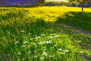 Serie „Malen mit der Kamera“