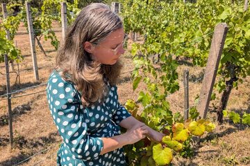 Agrarreferentin und Landeshauptmann-Stellvertreterin Anja Haider-Wallner.