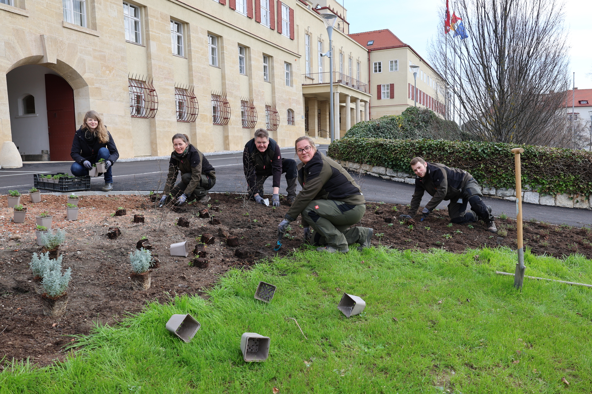 Frühlingsboten