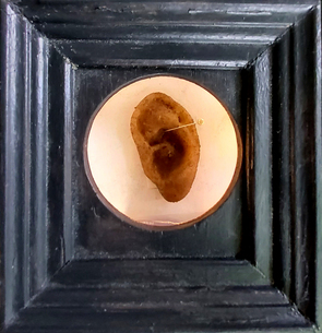 Reliquie Vincent (Ohr)