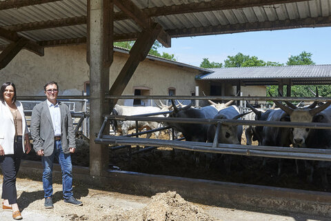 Landeshauptmann-Stellvertreterin Mag.a Astrid Eisenkopf besuchte die Domaine Albrechtsfeld und führte interessante Gespräche mit Geschäftsführer Ing. Alexander Thiess.