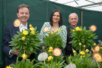 Landeshauptmann-Stellvertreterin Mag.a Astrid Eisenkopf präsentierte mit DI Nikolaus Berlakovich, Präsident der Bgld. Landwirtschaftskammer, und Ök.-Rat Albert Trinkl, Mitglied des Vorstandes des Vereins „Die Gärtner Burgenlands“, die Blume des Jahres 2023