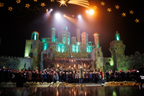 Fotoimpressionen vom Winterwunder Mörbisch.