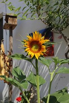 Eingang zum Atelier-Hofgewölbe