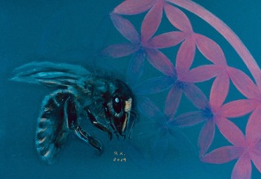 Biene labt sich an Überlebensblume