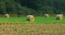 Heuballen