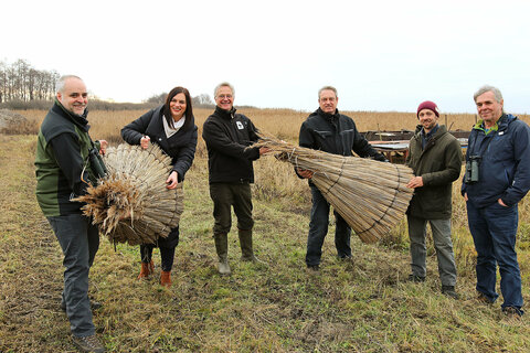 Schilf ist Wirtschaftsfaktor und wertvoller Lebensraum für Vogelwelt. V.l.: Matthias Grün, Vorstandsmitglied der Esterhazy Betriebe GmbH, Umwelt- und Naturschutzreferentin Landeshauptmannstellvertreterin Astrid Eisenkopf, Bernhard Kohler, Naturschutzexperte beim WWF Österreich, Markus Brunner, Schilfschneider, Firma reedmaX, Jakobus Van Hoorne, Schilfschneider, Michael Dvorak, Naturschutzexperte von Birdlife Österreich