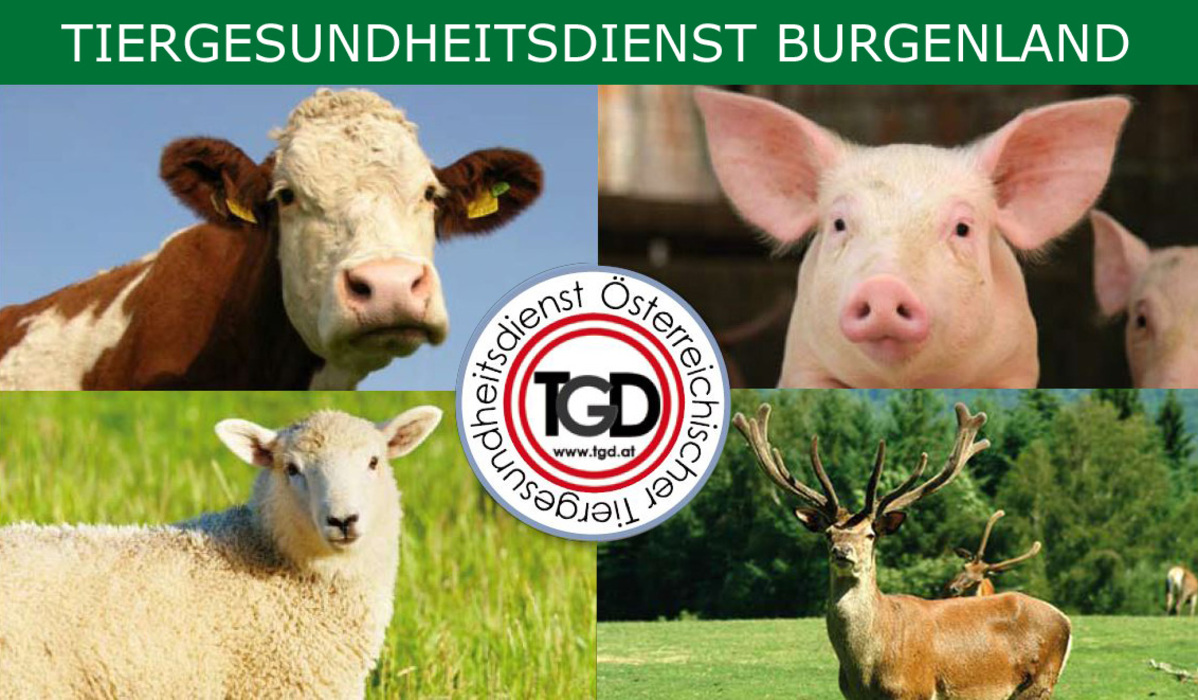 Tiergesundheitsdienst Burgenland