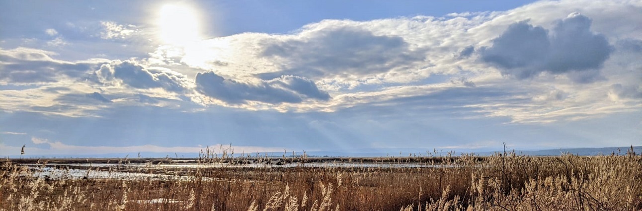 NeusiedlerSee2023_c_MartinaJauck