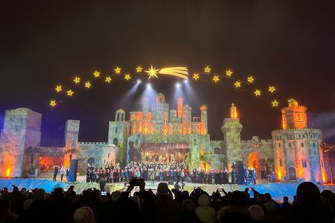 Fotoimpressionen vom Winterwunder Mörbisch.