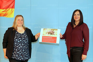 Landeshauptmannstellvertreterin Astrid Eisenkopf und Yvonne Millard, Veterinärdirektion Burgenland, präsentierten Maßnahmenplan für nachhaltiges Wildschweinmanagement