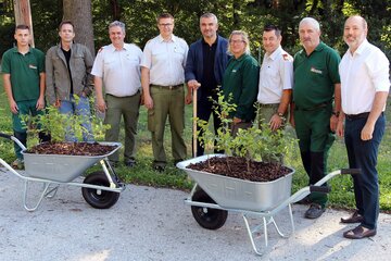 LAnd  Burgenland und Feuerwehrjugend setzen 2000 Bäume