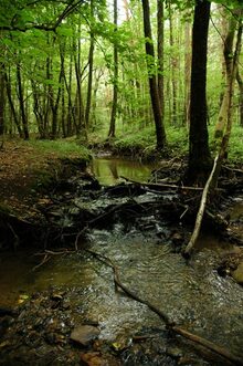 Gößbachgraben Hammerteich