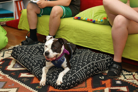 "Samira" befolgte brav die Anweisungen der Schülerinnen und Schüler.