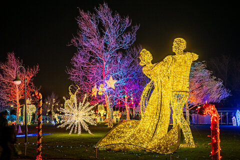 Winterwunder Mörbisch