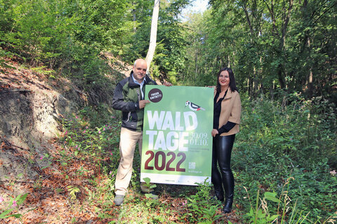 Bei den Waldtagen 2022 am 30. September und 1. Oktober kann man bei freiem Eintritt Forstwirtschaft, insbesondere Holzernte, „live“ erleben und von Fachexperten Wis-senswertes über Forstpflanzen und Waldschutzprojekte erfahren