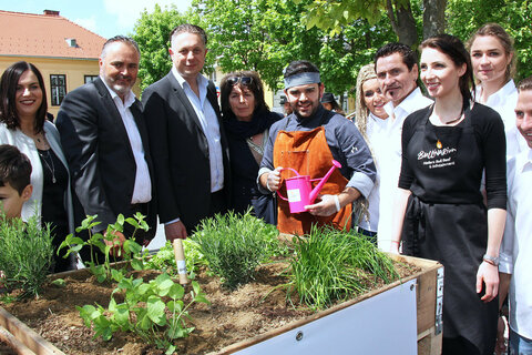 Landeshauptmann Hans Peter Doskozil, Landesrätin Mag.a Astrid Eisenkopf, Landesrat MMag. Alexander Petschnig und die Familie Haller gaben beim Kräuterpflanzen gemeinsam mit den Kindern der Volksschule Buchschachen den offiziellen Startschuss für das „Bullinarium-Hallers Bull Beef & Infotainment“ in Markt Allhau.