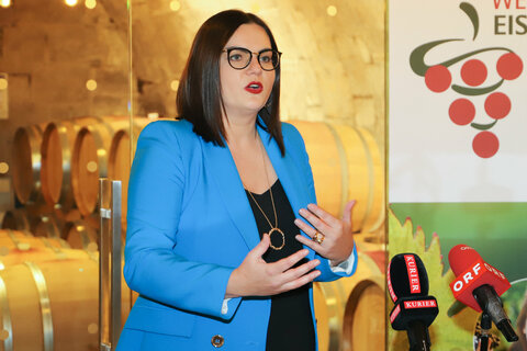 Landeshauptmannstellvertreterin Astrid Eisenkopf während der Pressekonferenz