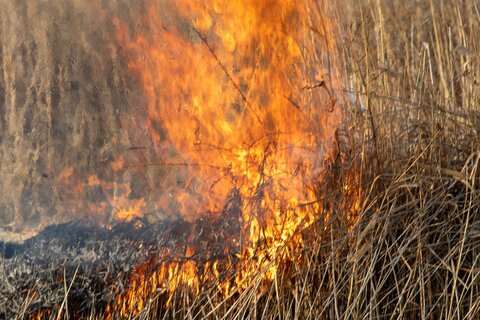 Brandschutzübung in Jois