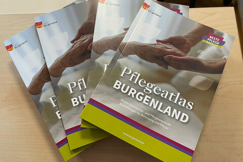 Pflegeatlas