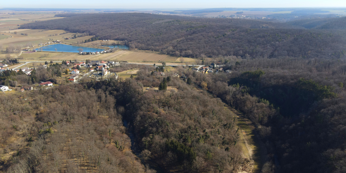 Burg_Schandorferwald