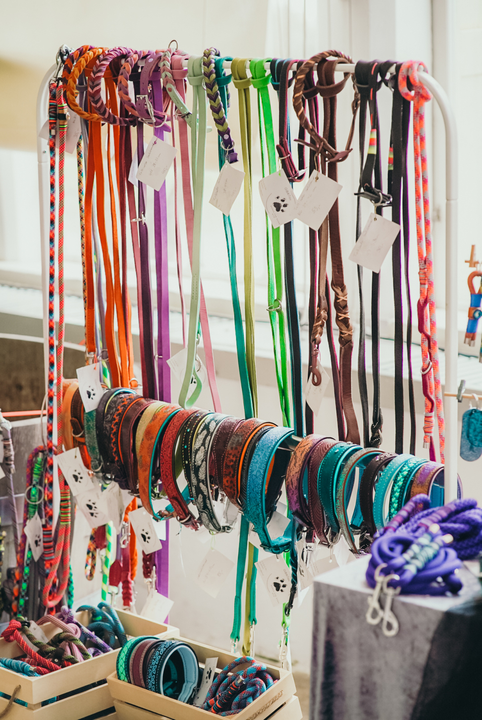 Hundeleinen und Halsbänder