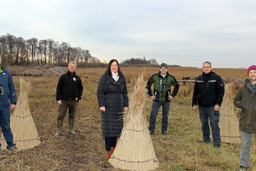 Die Ergebnisse des EU-Projekts sollen die Grundlage für ein schonendes Management des Schilfgürtels sein. V.l.: Michael Dvorak, Naturschutzexperte von Birdlife Österreich, Bernhard Kohler, Naturschutzexperte beim WWF Österreich, Umwelt- und Naturschutzreferentin Landeshauptmannstellvertreterin Astrid Eisenkopf, Matthias Grün, Vorstandsmitglied der Esterhazy Betriebe GmbH, Markus Brunner, Schilfschneider, Firma reedmaX, Jakobus Van Hoorne, Schilfschneider