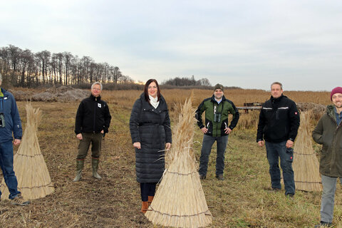 Die Ergebnisse des EU-Projekts sollen die Grundlage für ein schonendes Management des Schilfgürtels sein. V.l.: Michael Dvorak, Naturschutzexperte von Birdlife Österreich, Bernhard Kohler, Naturschutzexperte beim WWF Österreich, Umwelt- und Naturschutzreferentin Landeshauptmannstellvertreterin Astrid Eisenkopf, Matthias Grün, Vorstandsmitglied der Esterhazy Betriebe GmbH, Markus Brunner, Schilfschneider, Firma reedmaX, Jakobus Van Hoorne, Schilfschneider