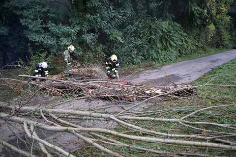Die Einsatzeinheiten stellten in Litzelsdorf einige Szenarien nach. So musste die Straße von Ästen befreit werden.