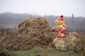 Gartenzwergin – Serie „Ton in Ton rot“