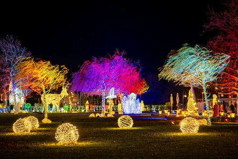 Winterwunder Mörbisch