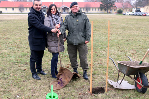 Landesrat Mag. Heinrich Dorner, Landesrätin Mag.a Astrid Eisenkopf und Kommandant Oberstleutnant Markus Ziegler legten bei der Pflanzung eines der Spitzahornbäume des Aufforstungsprojekts selbst Hand an.
