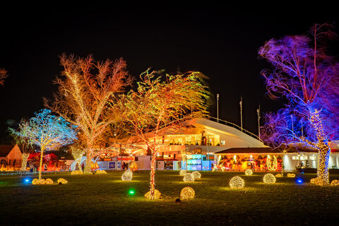 Winterwunder Mörbisch