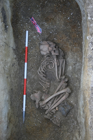 © BDA / Foto: N. Franz Foto: N. Franz