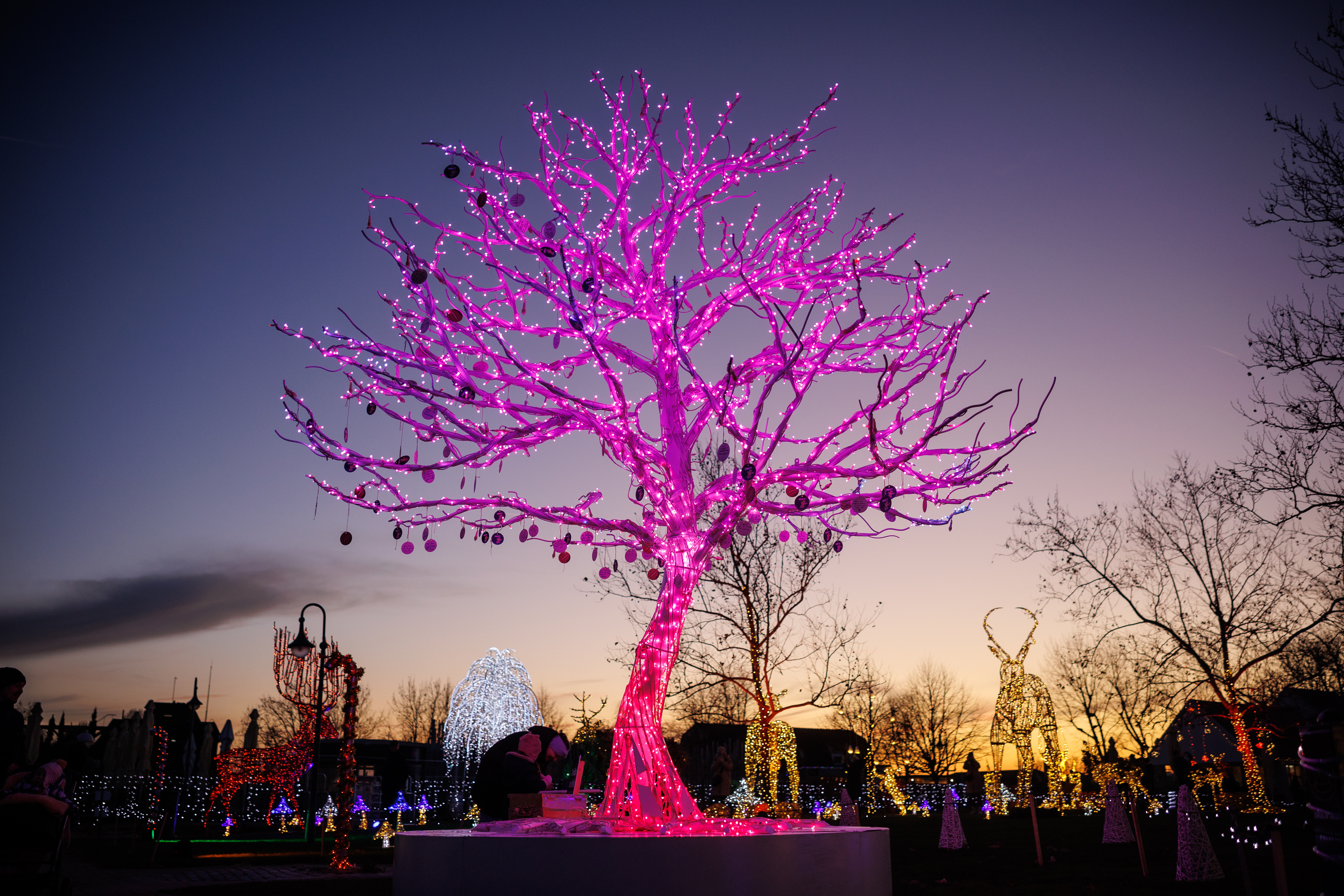 Winterwunder Mörbisch